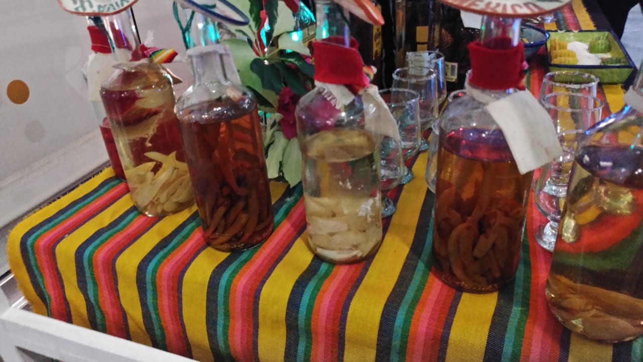 Gastro Hotel Riu Dunamar