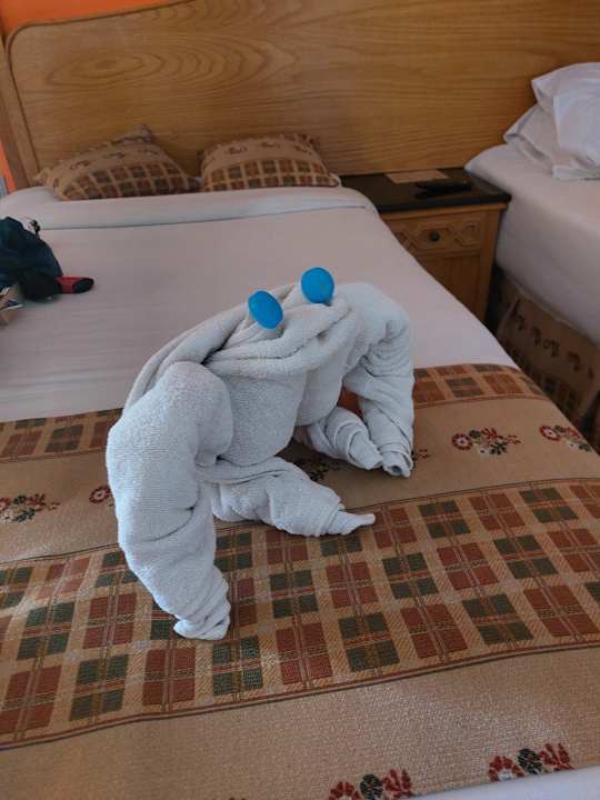 Zimmer Flamenco Beach & Resort