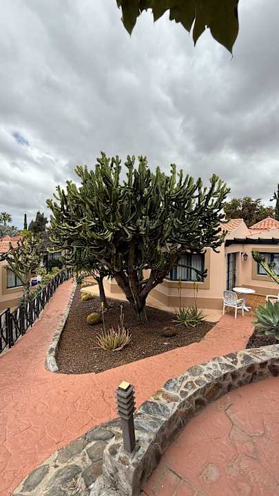 Außenansicht allsun Hotel Esplendido