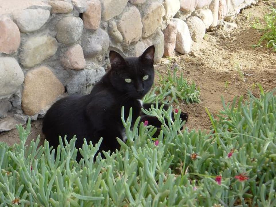 Ali Baba Palace - Hurghada - Ägypten Ali Baba Palace Resort