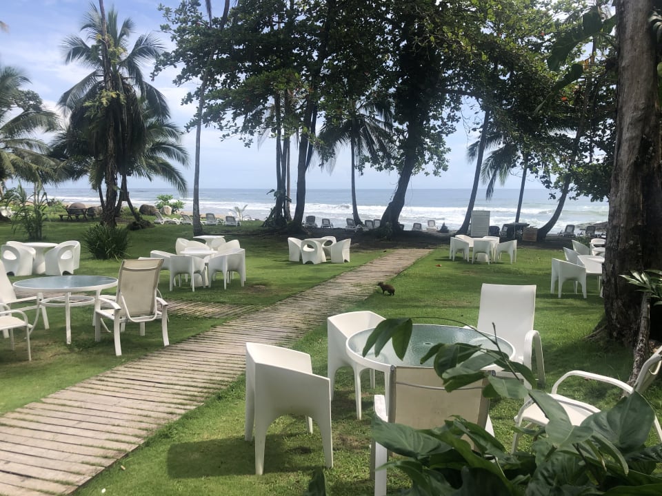 Strand Le Cameleon Boutique Hotel