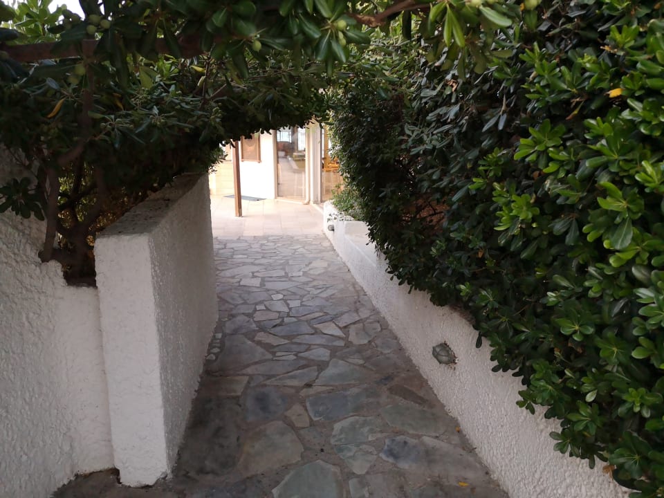 Gartenanlage Apollonia Beach Resort & Spa