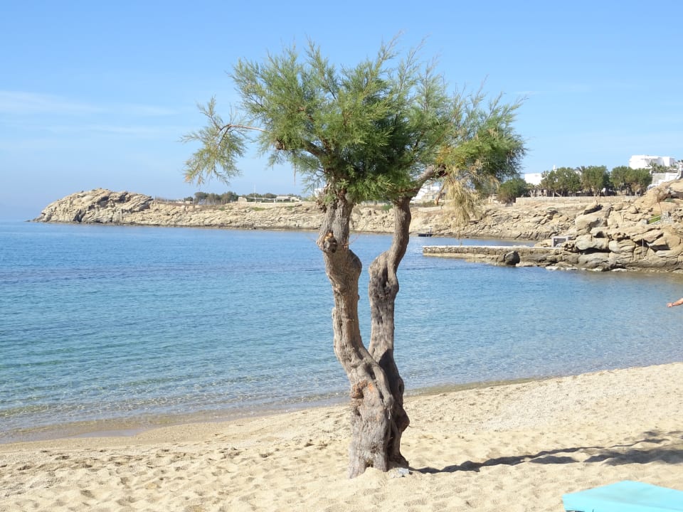 Strand Paradise Beach Resort