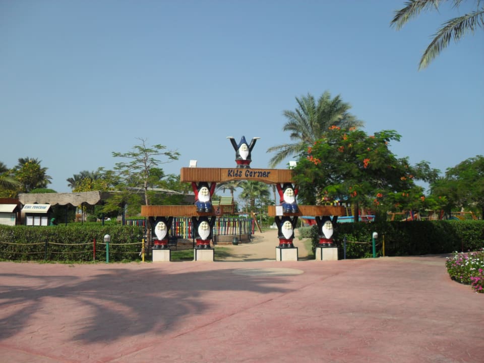 Sport & Freizeit Desert Rose