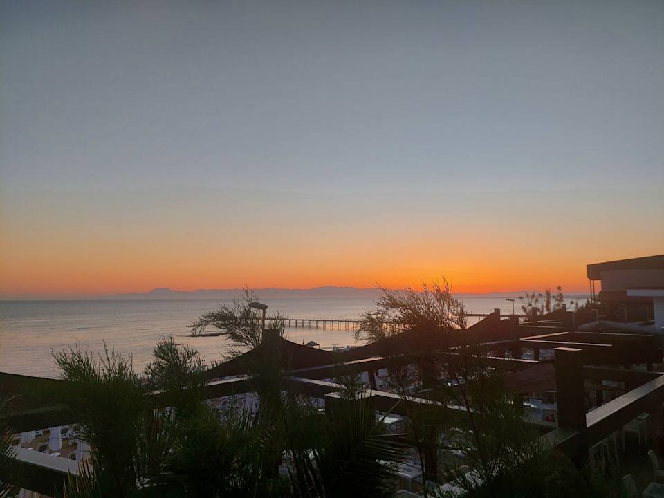 Ausblick Arum Barut Collection