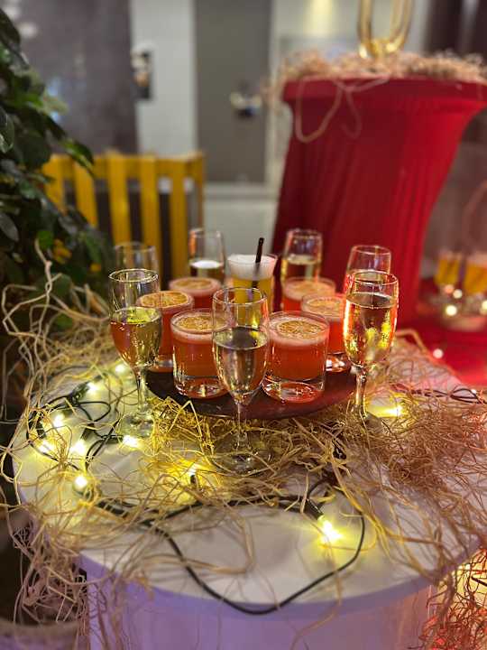 Gastro Seashell Vega