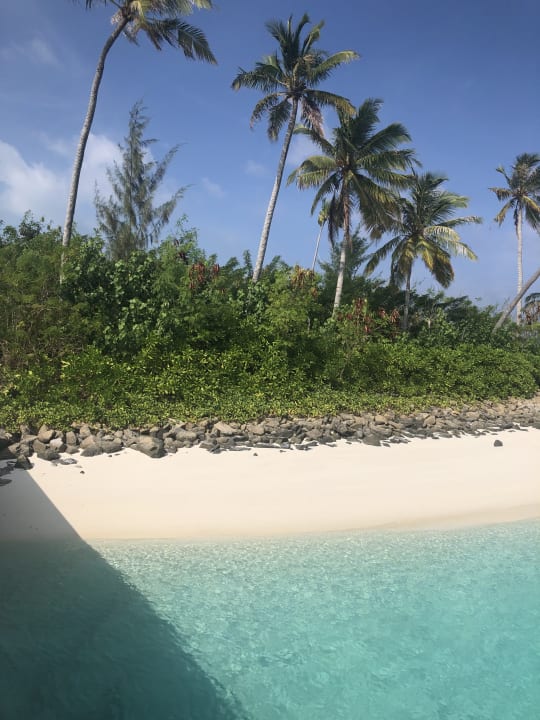 Ausblick TUI BLUE Olhuveli Romance