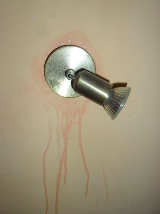 Wände Hotel Parque Cristina