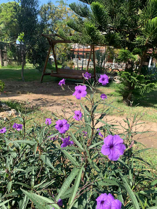 Gartenanlage Raymar Resort & Aqua