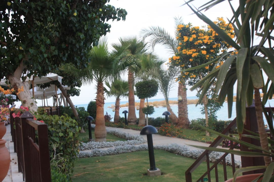 Gartenanlage Hotel Three Corners Ocean View prestige - Adults only