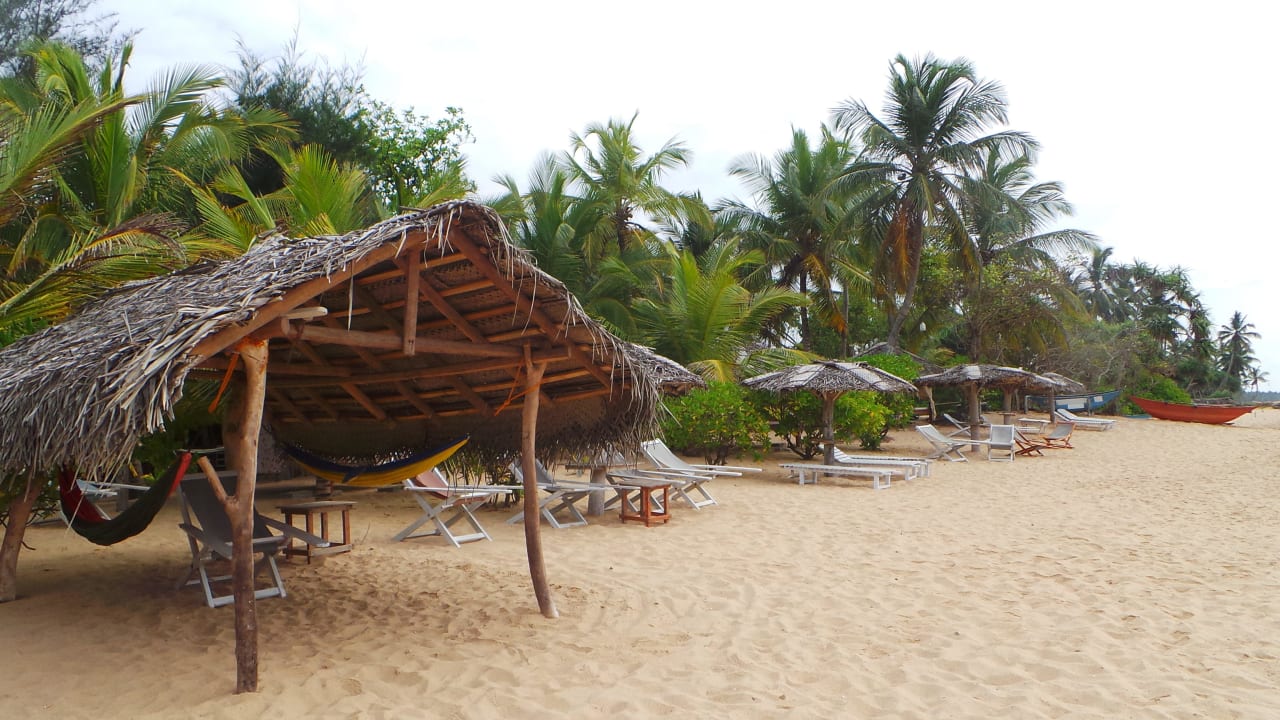 Viele Schattenspender Ibis Guesthouse