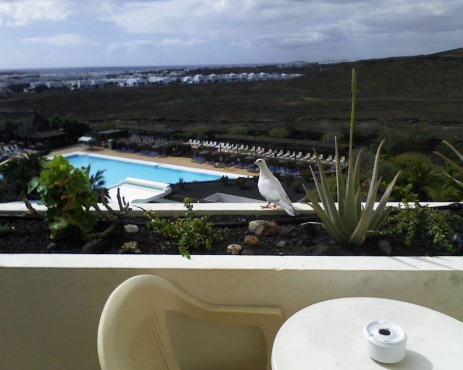 Particolare del balcone con sorpresa Beatriz Costa & Spa