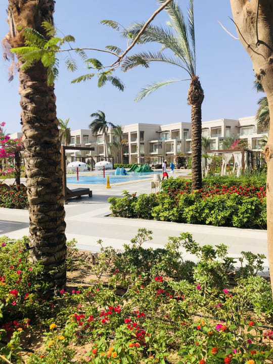 Pool Steigenberger Resort Ras Soma