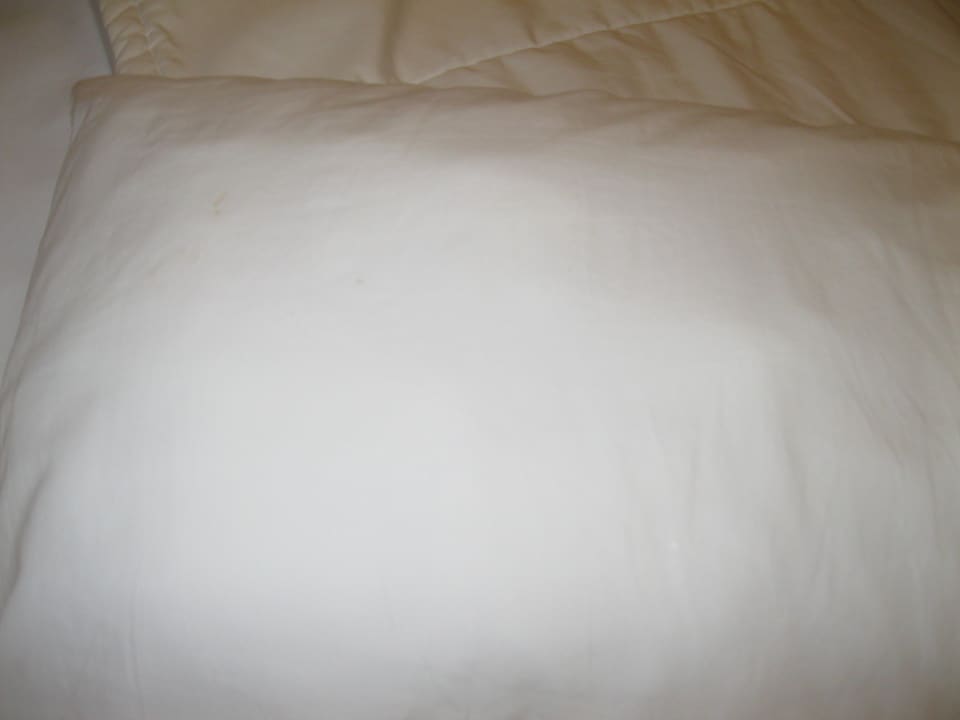 Zimmer Hotel Viva Dominicus Beach by Wyndham - All Inclusive Resort