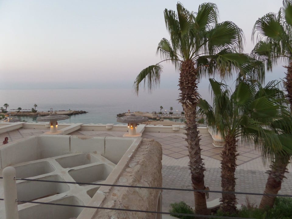 View from the room Pickalbatros Citadel Resort