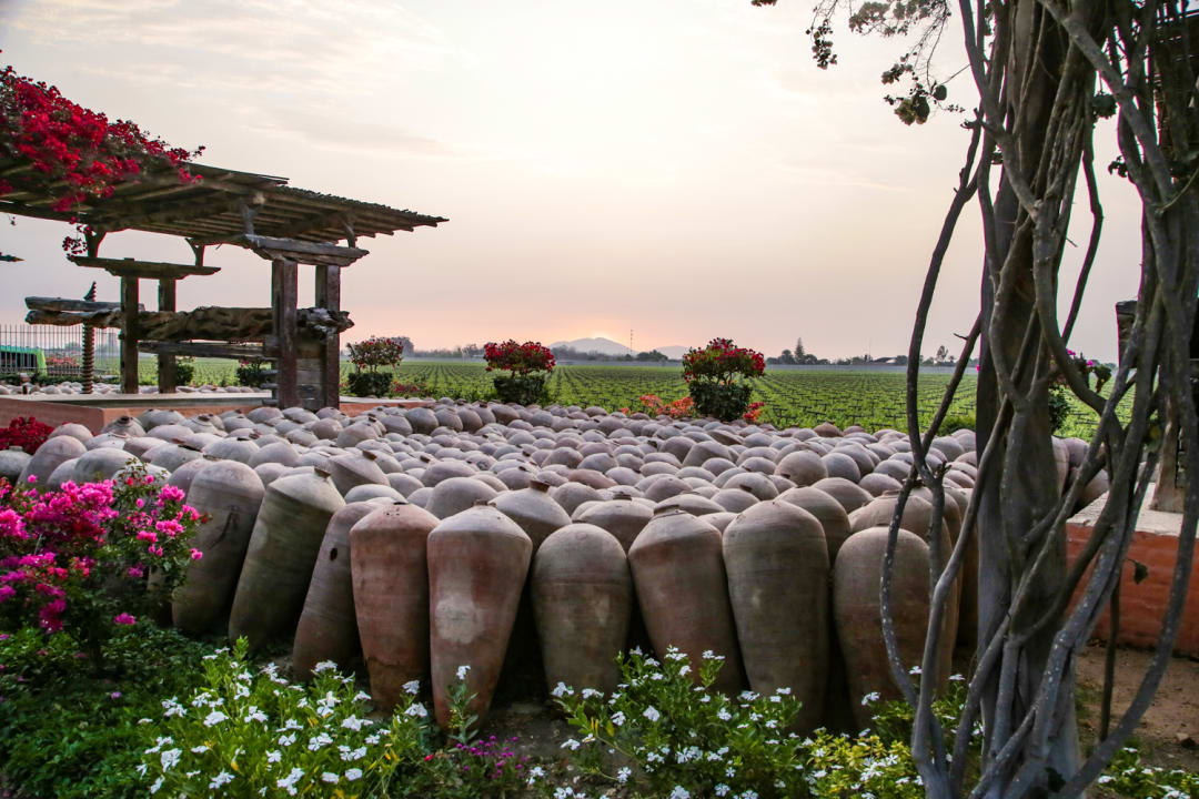 Gartenanlage Hotel Viñas Queirolo