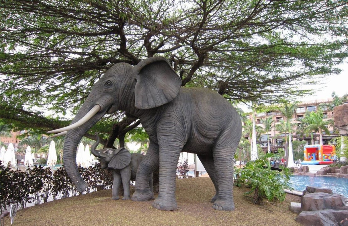 Elephants Lopesan Baobab Resort