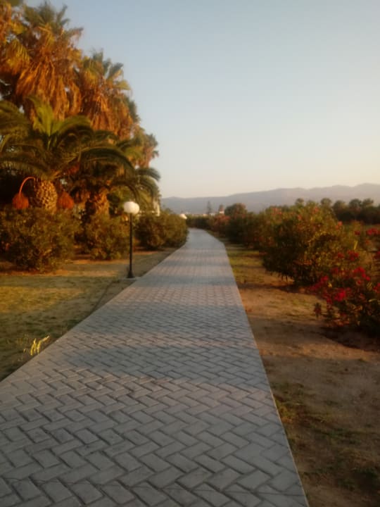 Gartenanlage Apollon Hotel