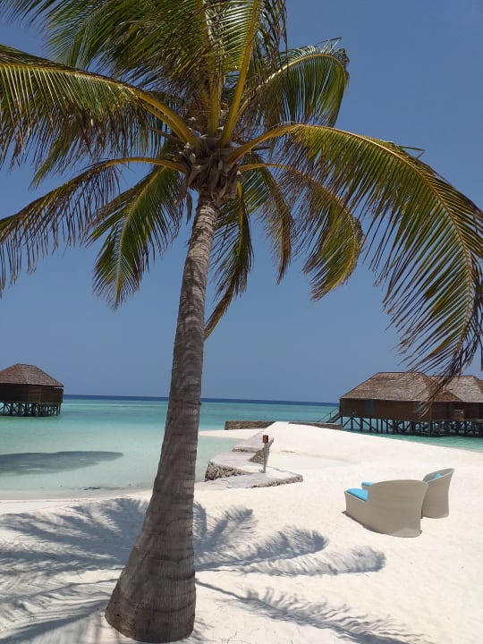 Ausblick Veligandu Maldives Resort Island