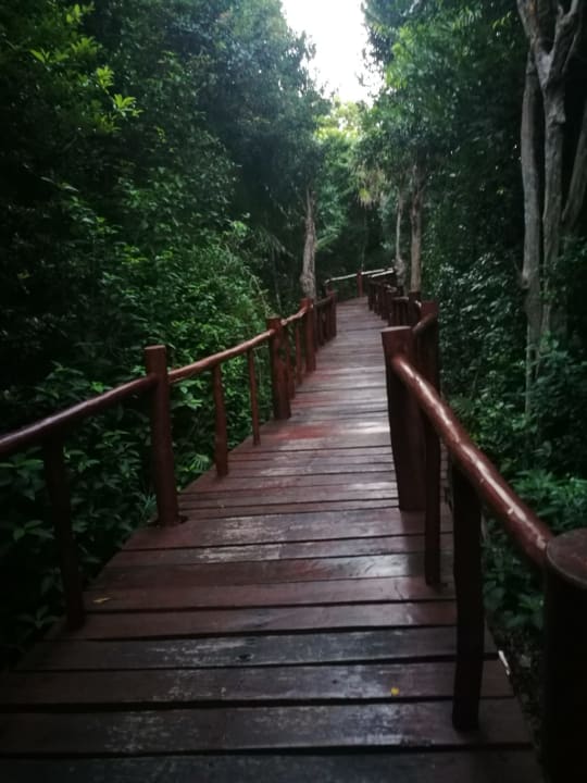 Gartenanlage Grand Palladium Kantenah Resort & Spa