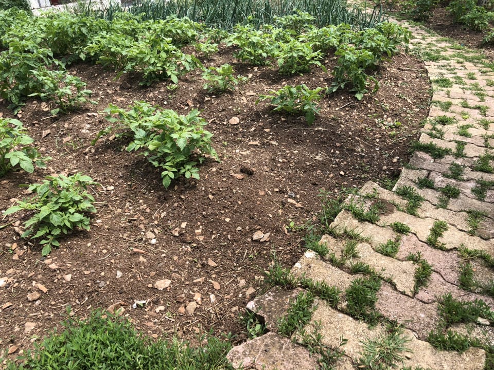 Gartenanlage Acrotel Sofia's Guesthouse