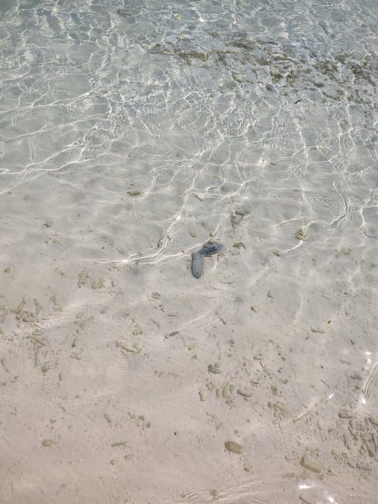 Strand Adaaran Select Hudhuran Fushi - Premium All Inclusive