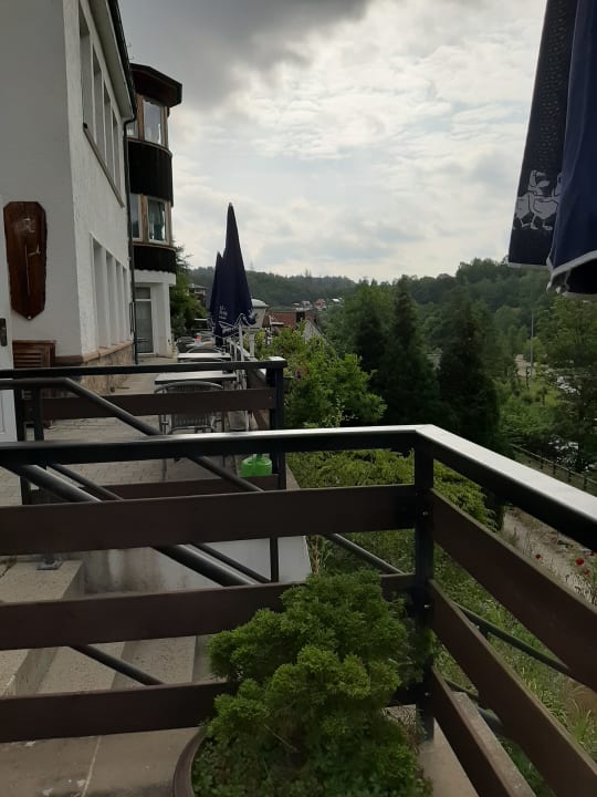 Ausblick Zum Harzer Jodlermeister