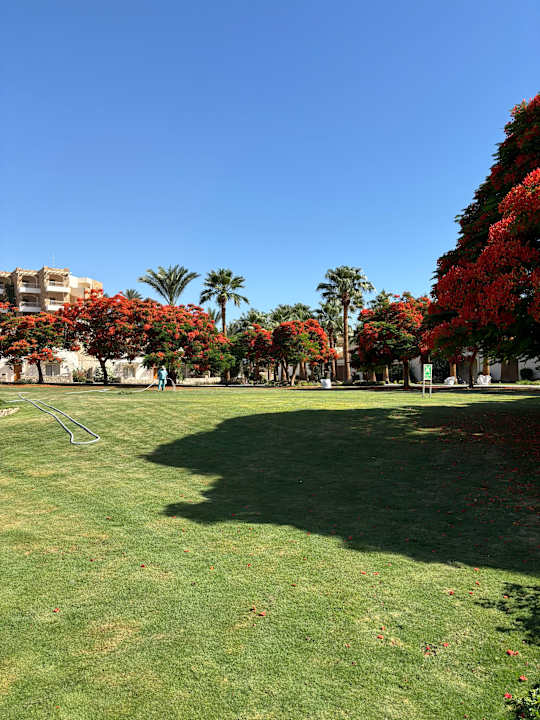 Sonstiges Brayka Bay Resort