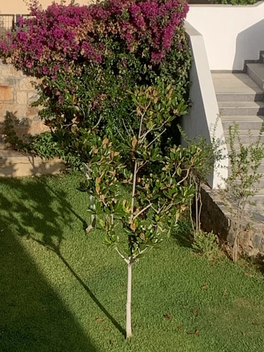 Außenansicht Maritimo Beach Hotel