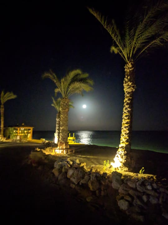 Gartenanlage The Breakers Diving & Surfing Lodge