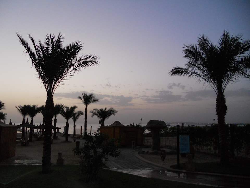 Sonnenaufgang Pickalbatros Palace Resort