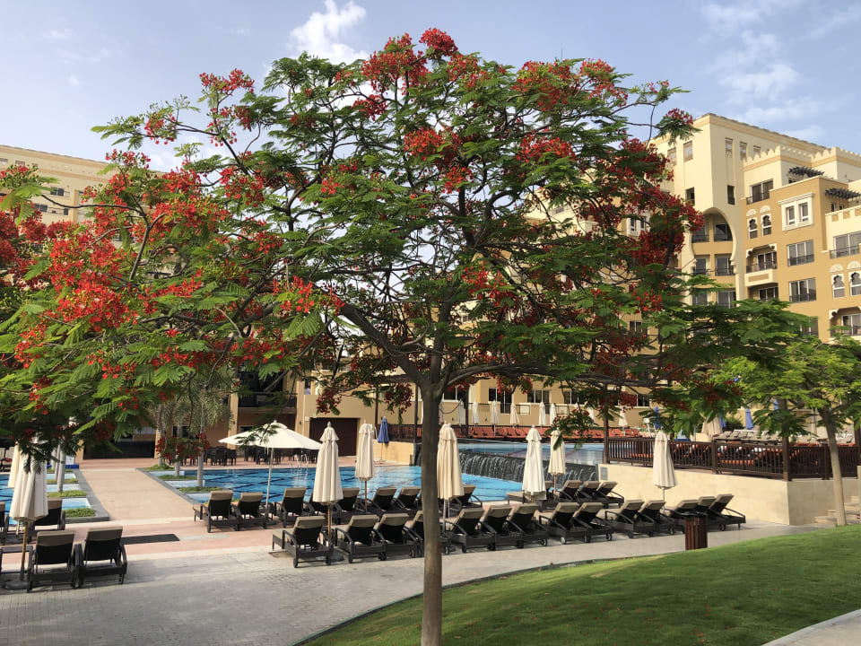 Pool Rixos Bab Al Bahr