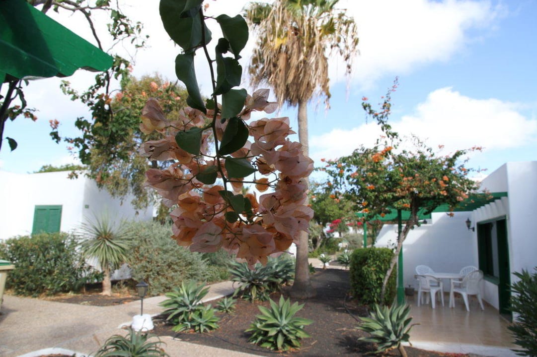 Vor der Tür Hotel Hyde Park Lane