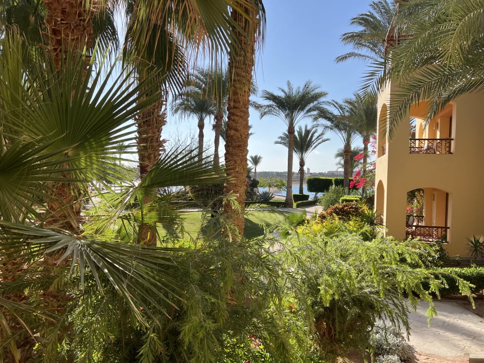 Gartenanlage Steigenberger Coraya Beach - Adults only