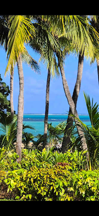 Gartenanlage Hotel Riu Palace Mauritius