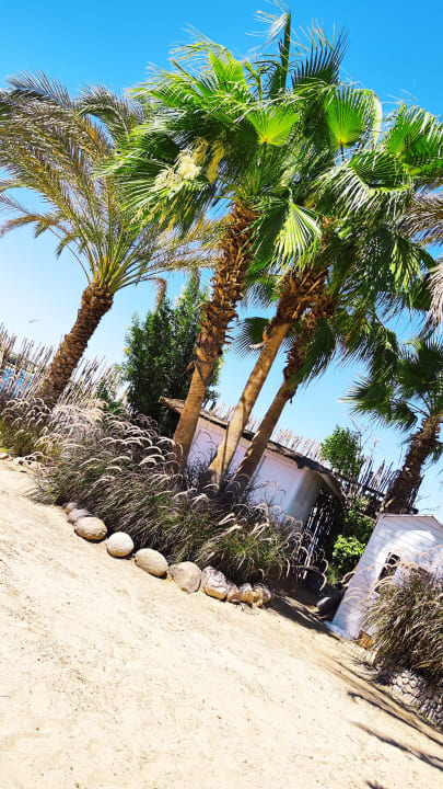 Gartenanlage SUNRISE Royal Makadi Resort