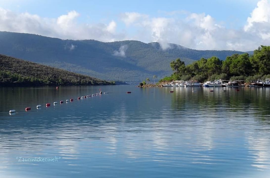 Ausblick Green Bay Resort & Spa