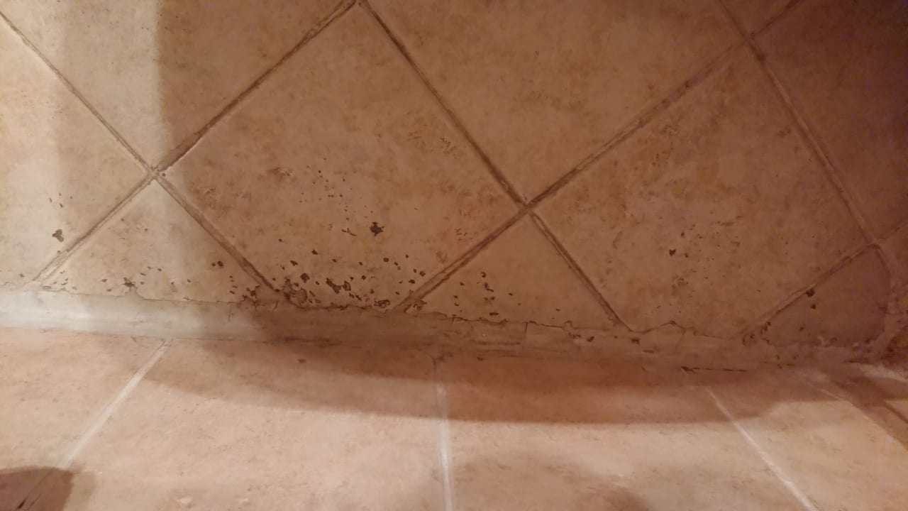 Zimmer Ghazala Gardens