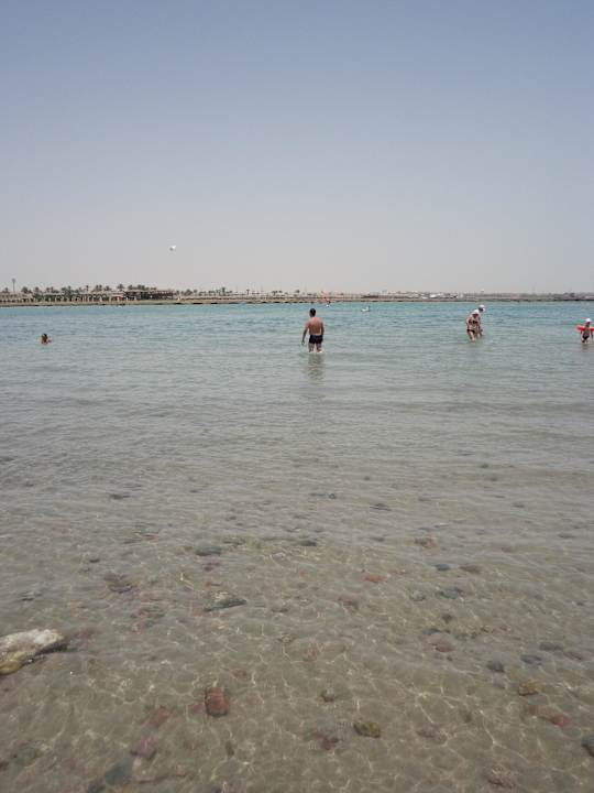 Glasklares Wasser Pickalbatros Alf Leila Wa Leila Resort - Neverland Hurghada