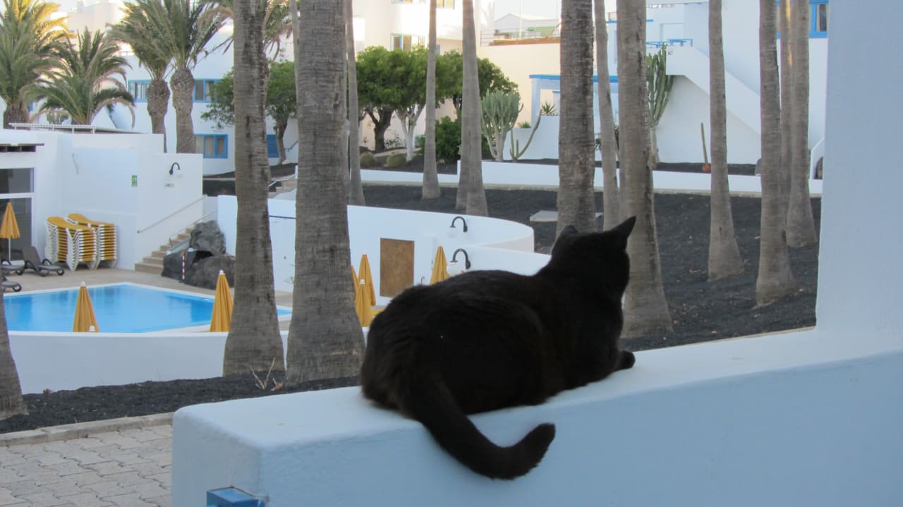 Sonstiges Aparthotel Costa Mar