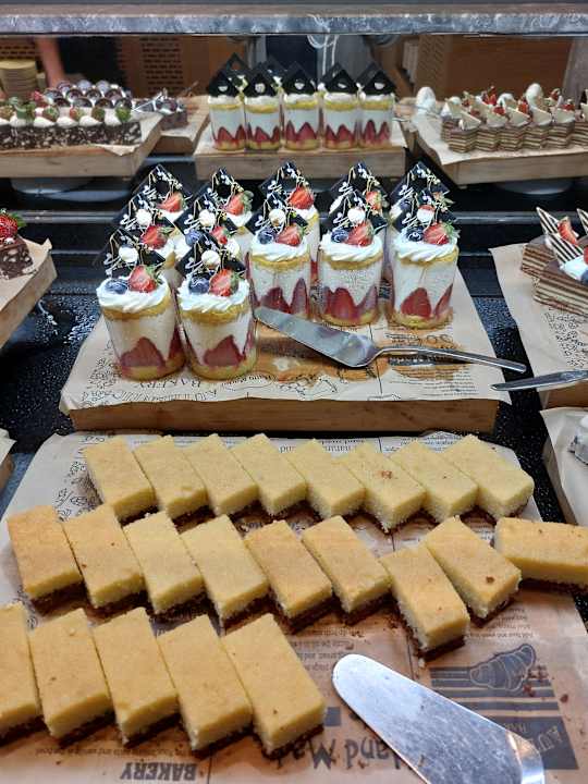 Gastro Seashell Vega