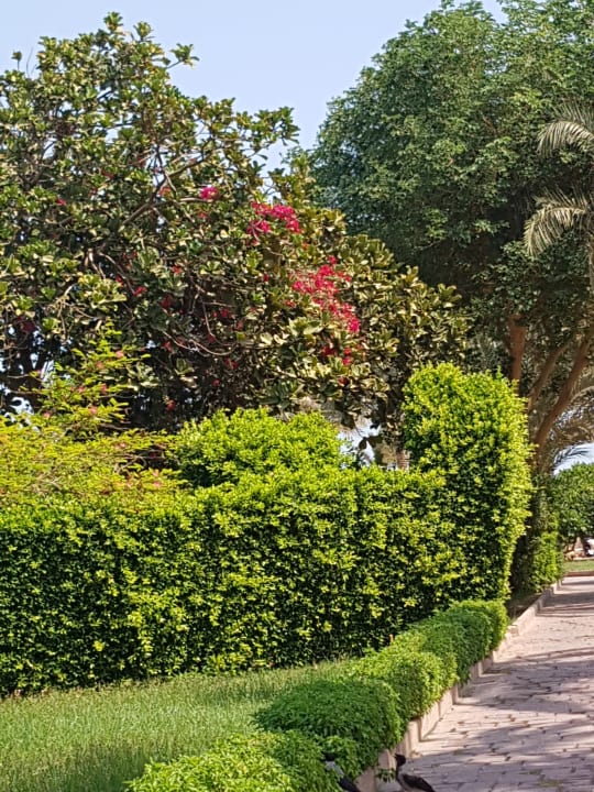 Gartenanlage Golden Beach Resort