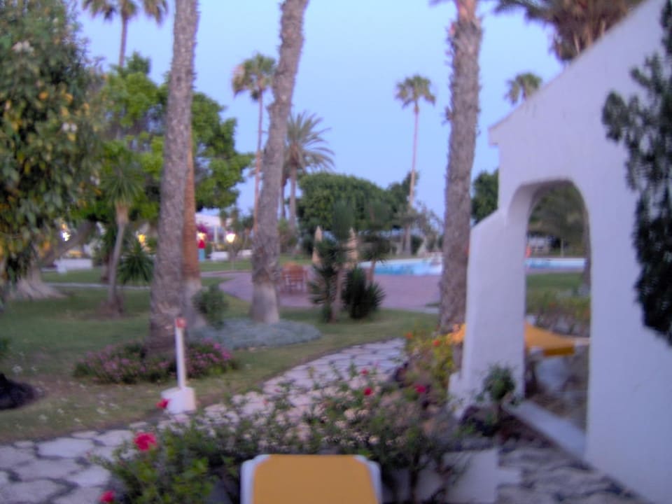 Terrasse Sahara Beach Club