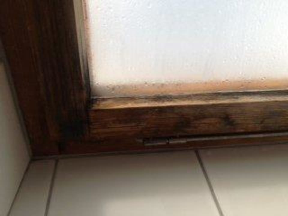 Schimmel am Badezimmerfenster Gourmethotel Yscla