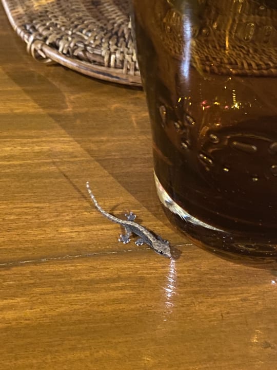 Gastro Hilton Mauritius Resort & Spa