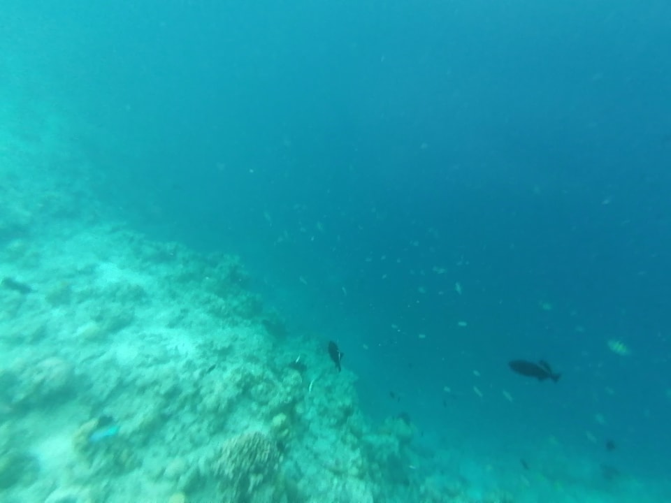 Sport & Freizeit Adaaran Select Meedhupparu Island Resort - Premium All Inclusive