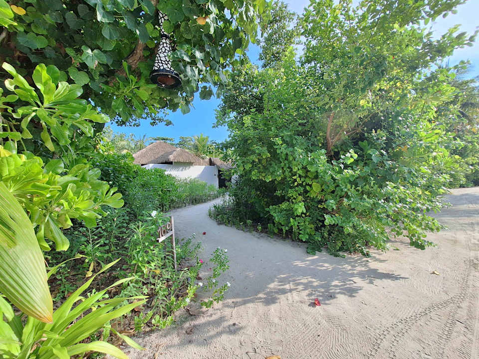 Gartenanlage Kuredu Island Resort & Spa