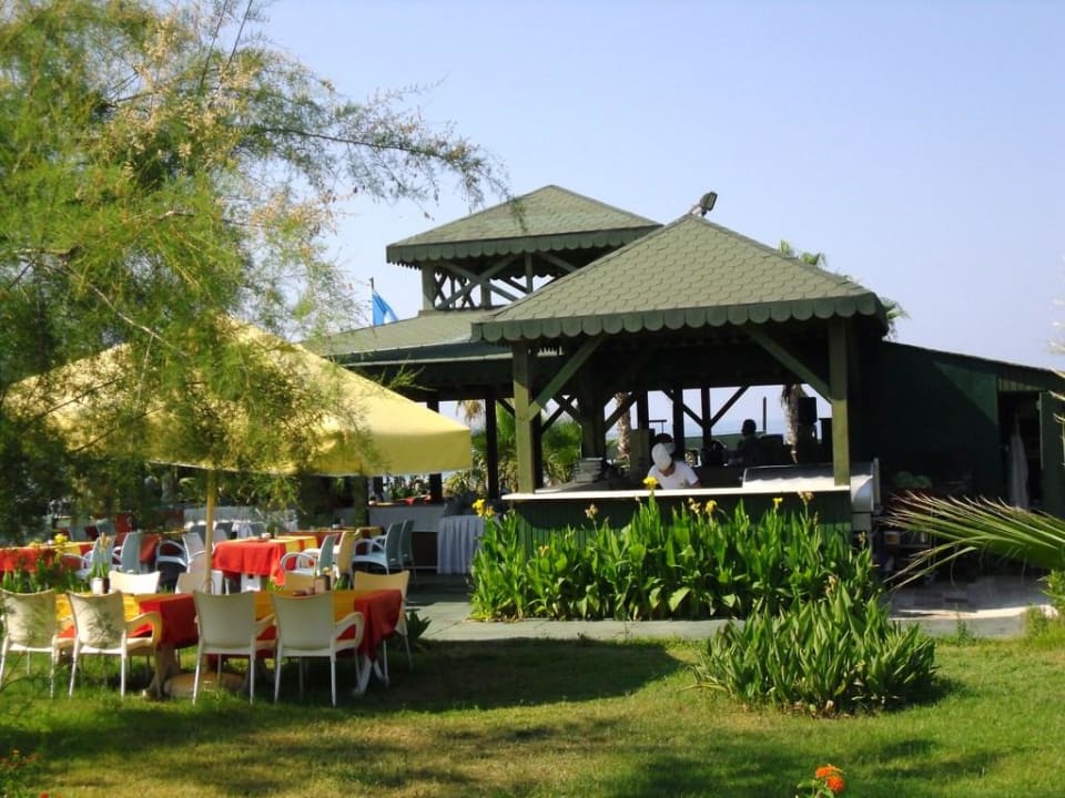 Eine schöne Beachbar Royal Atlantis Beach Hotel