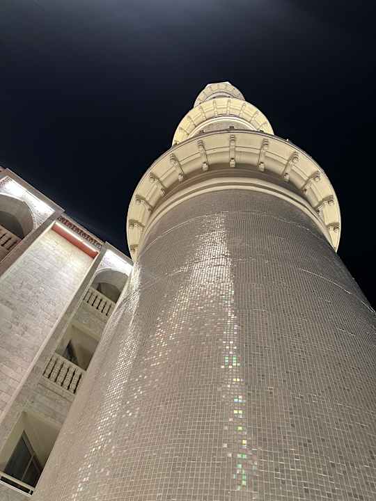 Außenansicht Royal Taj Mahal Hotel