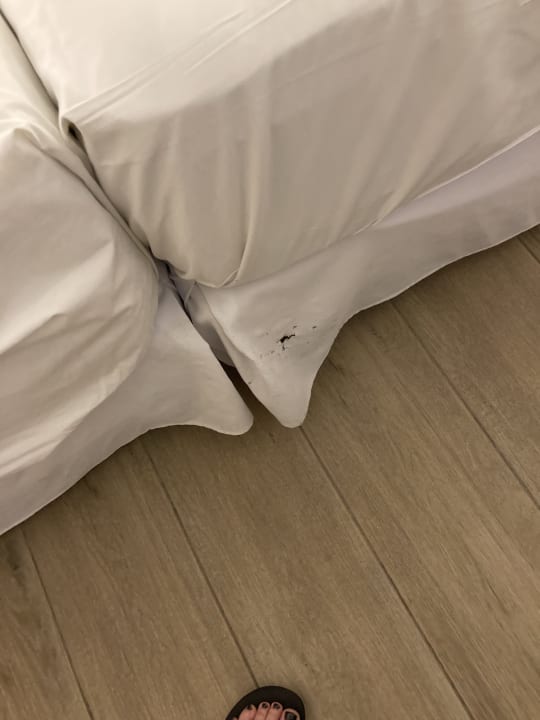 Zimmer Hotel Riu Palace Punta Cana